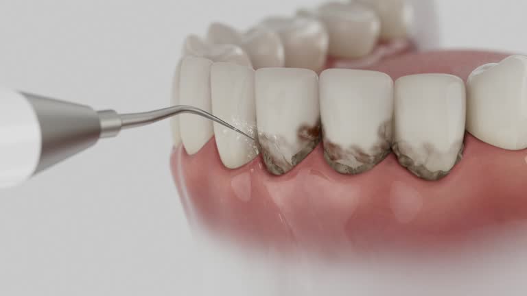 Reliable Dental contractor in Crook County County, WY by Dentist Open Now